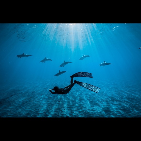 Meet your Posher, Jessica - Picture 7 of 8